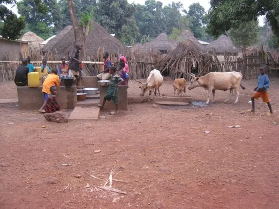 Réunion entre une entreprise minière et une communauté locale en Guinée